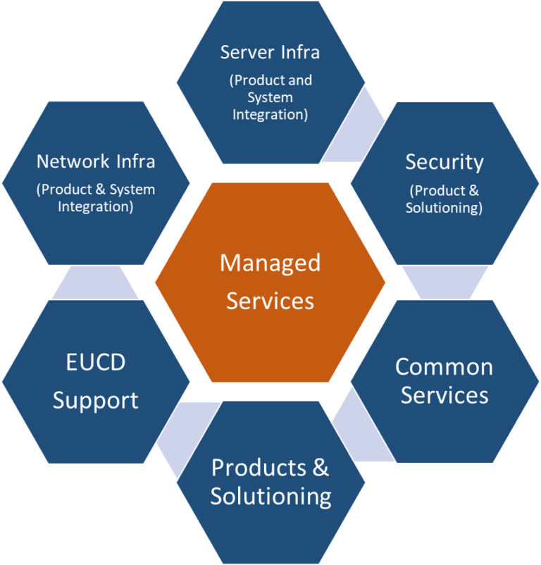 managed services